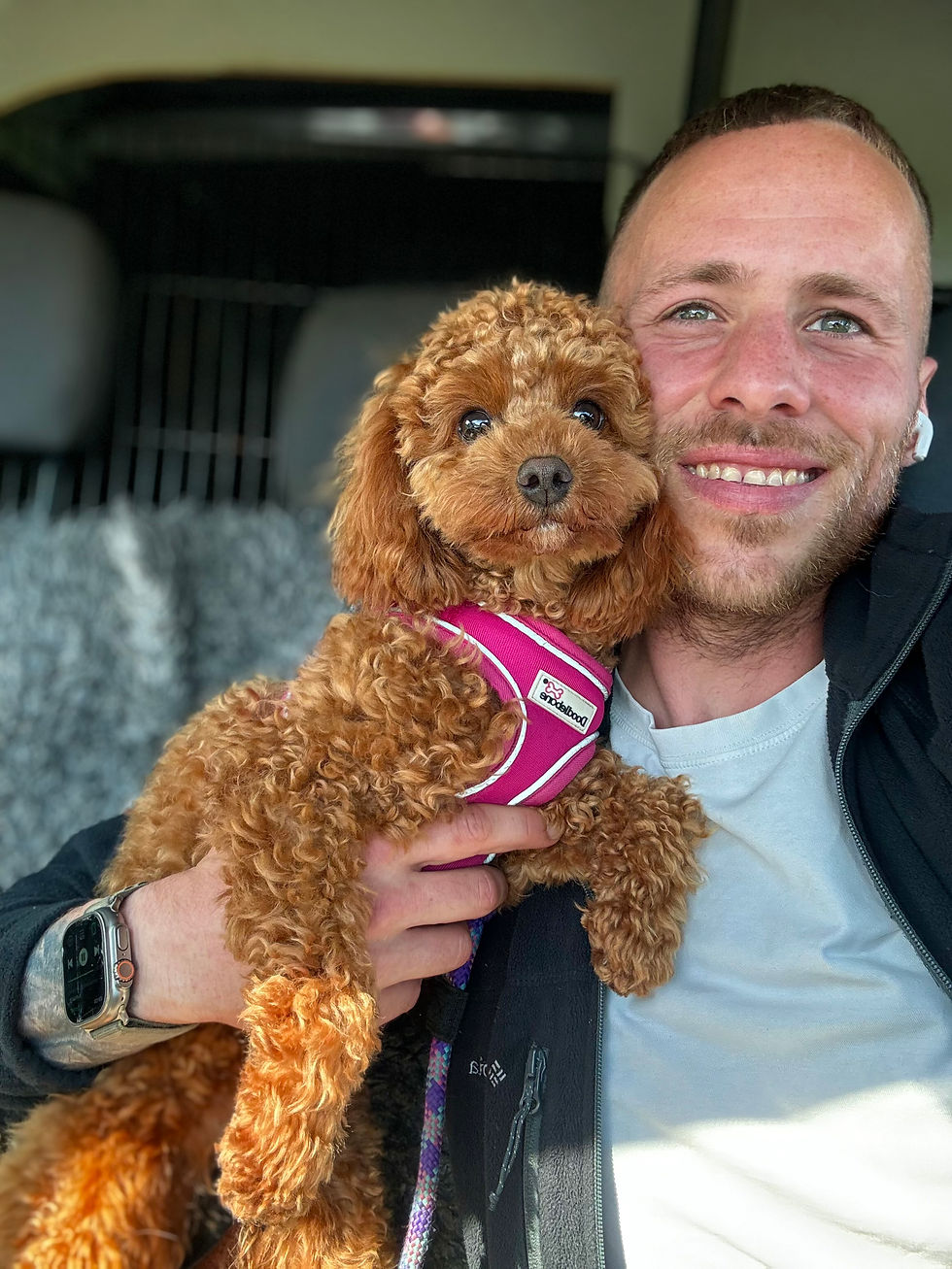Pet sitting Highlands