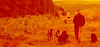 KCC__Header.jpg