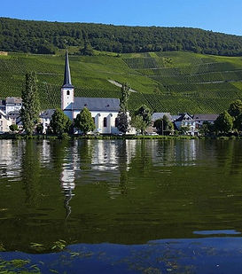 Julian_Haart_Piesport.jpg