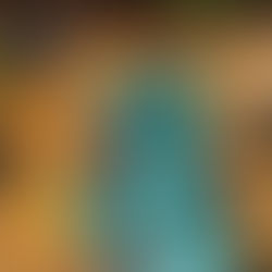 Um encerramento para ficar na memória 💛