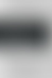 Conversando com Lukács