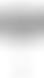 A DESTRUIÇÃO DA RAZÃO