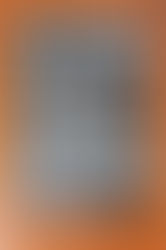 A Impossibilidade da Universalização da Educação