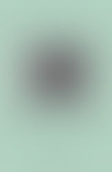 Capital e trabalho na formação econômica do Brasil