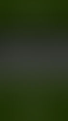 Pensamento Vivido: autobiografia em diálogo