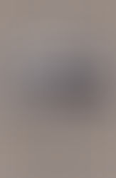 A particularidade estética em Vidas Secas, de Graciliano Ramos