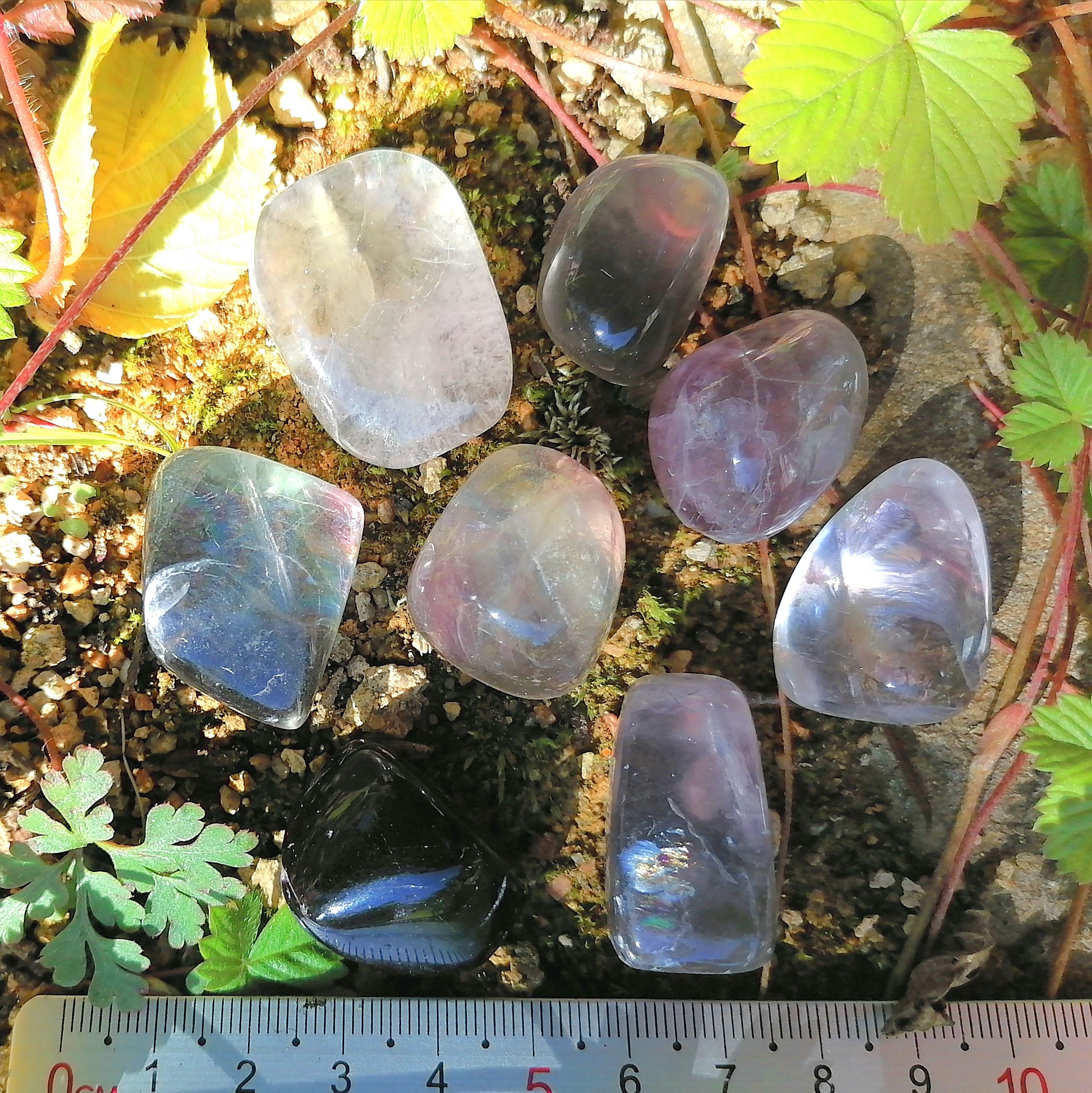Fluorite violette