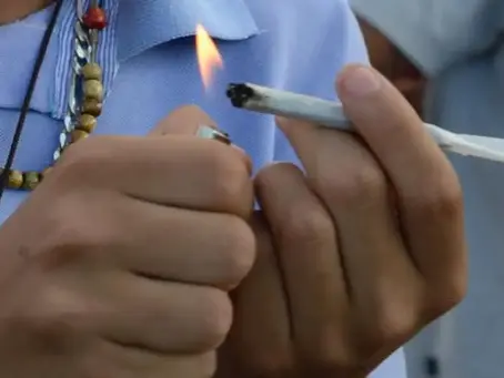 STF mantém descriminalização do porte de maconha para consumo pessoal