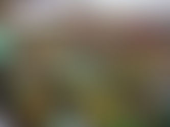 Milhares protestam em capitais brasileiras “anistia, fora Lula e fora Moraes”