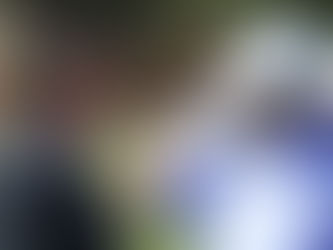 Defesa de Bolsonaro pede arquivamento de ação no STM