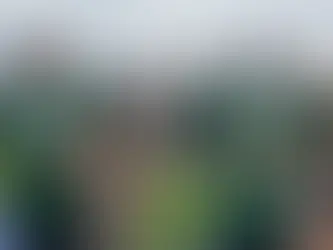 Conselheiro de Trump veste camisa pró-Bolsonaro em jogo do Brasil e ironiza Lula e Moraes