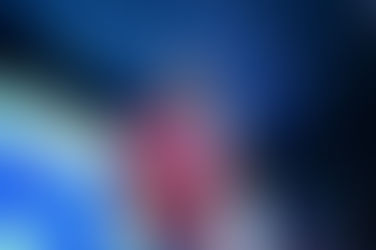 PL Mulher desmente versão de Professor Alcides sobre Michelle Bolsonaro