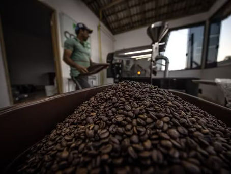 Exportadores de café dizem que situação do Brasil piorou