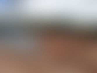 Ministro do Turismo derruba área verde em Belém para erguer posto de combustíveis