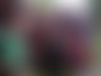 Antes da cirurgia, Flávio Bolsonaro anuncia leitura de carta de Natal escrita pelo pai