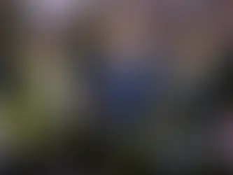 Flávio Bolsonaro usa camiseta com crítica ao judiciário em evento com Moro e Dallagnol