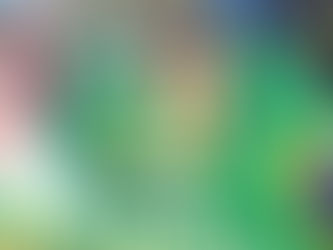 Desembargador Sebastião Coelho chama STF de “opressor” em ato de 7 de Setembro em Brasília