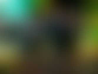 Flávio Bolsonaro critica gestão dos Barbalhos em evento em Belém