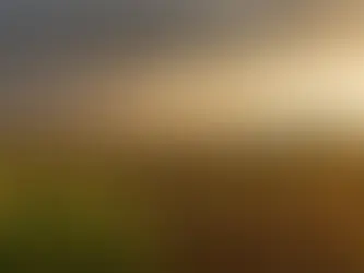 Tarifaço ameaça competitividade do agro brasileiro