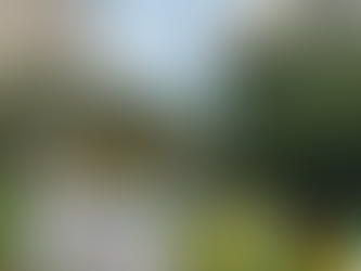 Parlamentares e apoiadores de Bolsonaro ocupam Avenida Nazaré em defesa da liberdade e contra o governo e o STF