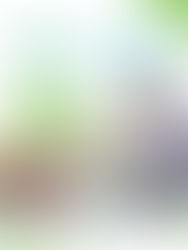 Edición 2025 Premio Mi Patio es el Mundo