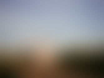 A Whimsical Wildflower Session in Petaluma { Family Photographer, Healdsburg, CA }