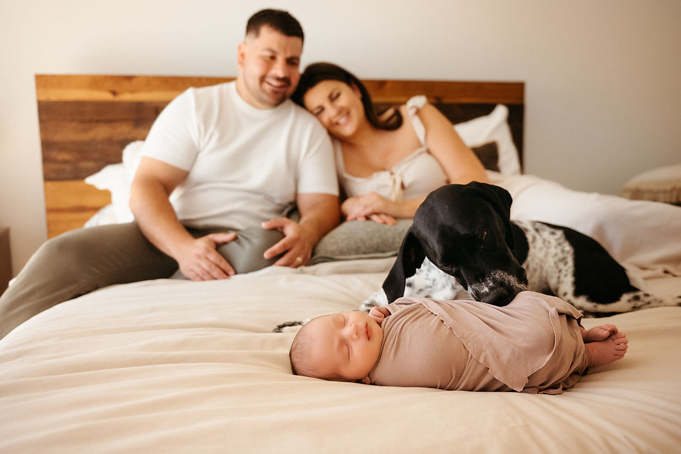 Couple smiles at a sleeping baby wrapped in beige on a bed. A dog gently sniffs the baby's head. Cozy, warm setting with a wood headboard.