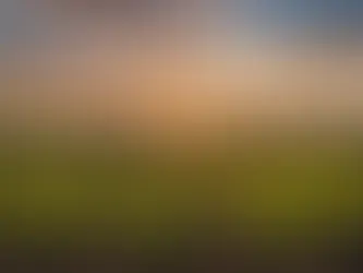 Capturing Joy: My Enchanting Fall Family Photo Session in Napa Valley { Family Photographer, SONOMA COUNTY CA }