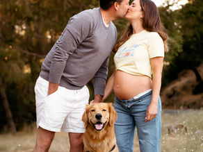 Sonoma County Photographer for Visitors: A Golden Hour Maternity Session in Santa Rosa { Family Photographer, Sonoma County, CA }