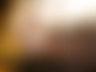 A Heartfelt Family Session in the Forest { Family Photographer, SANTA ROSA CA }