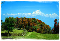 Robert Fraisl - Abenteuer am Hippie Trail: Dhaulagiri-Gipfel über Rhododendron-Wald, Nepal