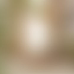 Flooring Inspired by Nature: How to Bring the Outdoors Inside