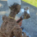 foto por @juandoarte