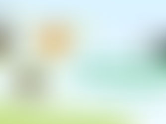 Why Your Brand Needs a WhatsApp Bot | Enhance Customer Engagement