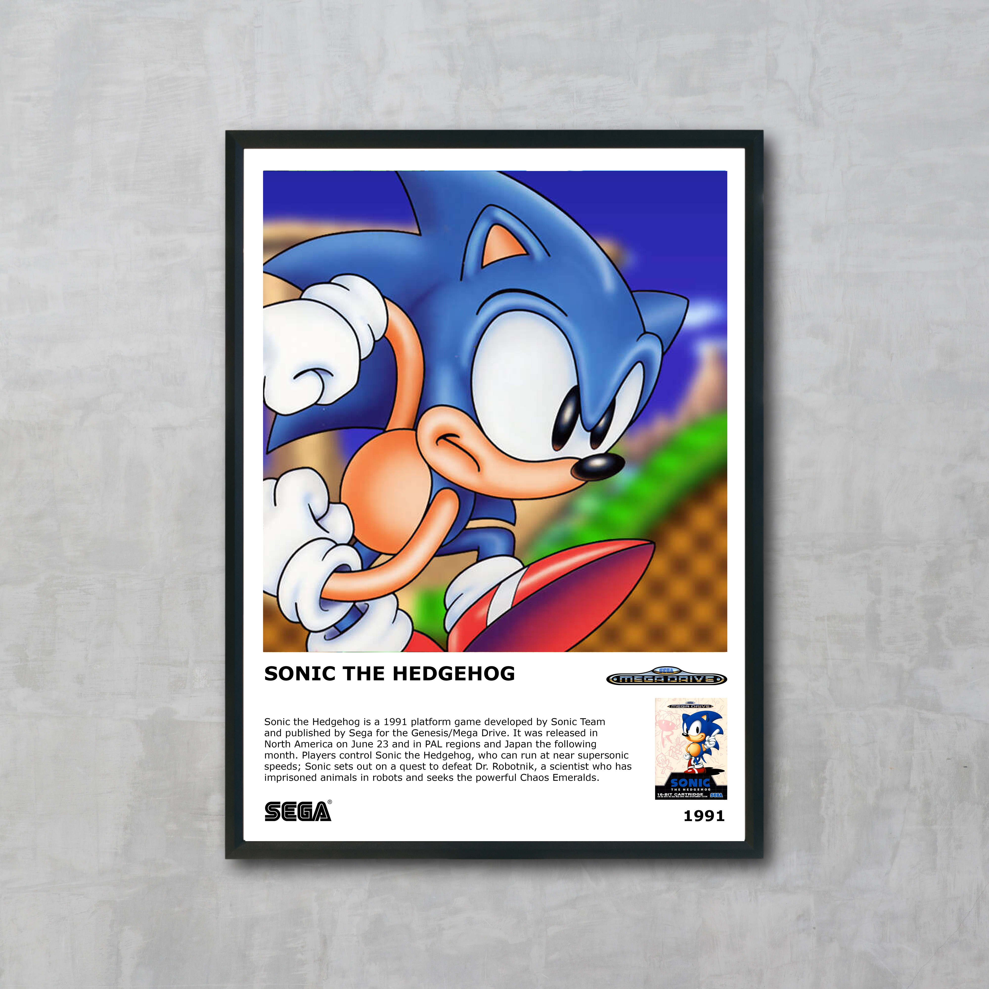 Sonic - Informative Art Print - A3 Size