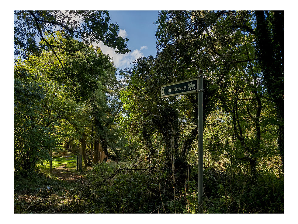 Hidden bridleway to Slaughterford!