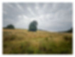 The trail back to Ramsbury