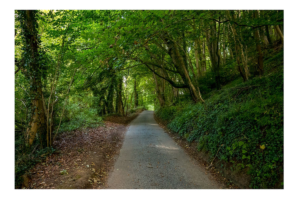 Lane to Ford
