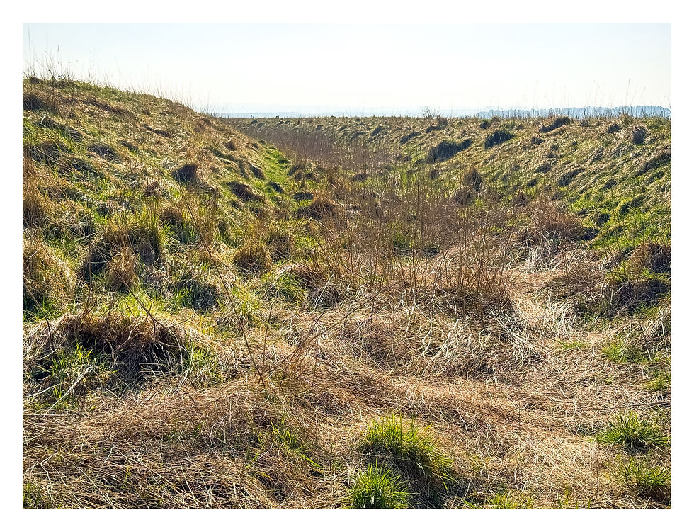 Lidbury Camp Earthworks