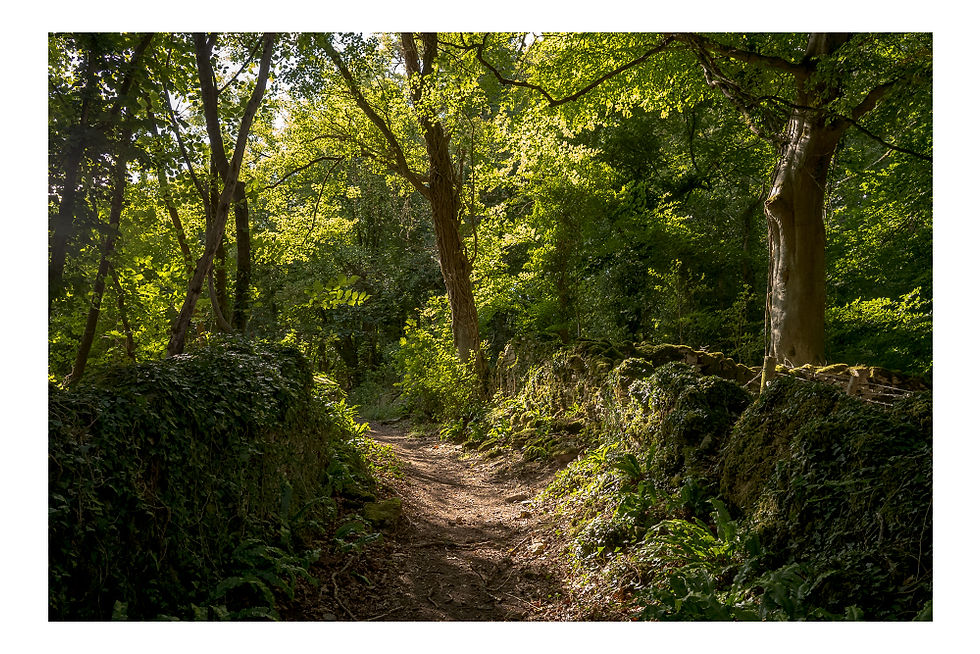 Holloway to Long Dean