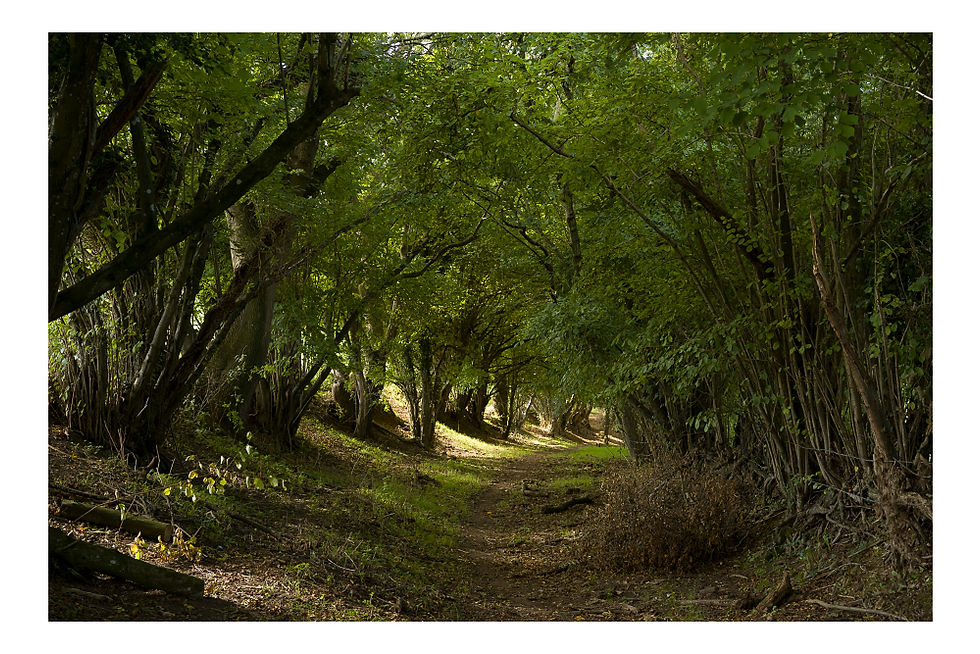 Holloway to Slaughterford