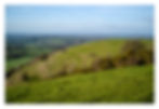 Strip lynchets on Cley Hill