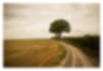 Private Road to Park Farm