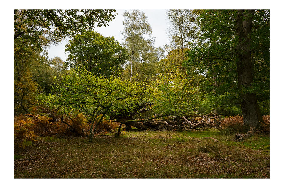 Restaurant with a view