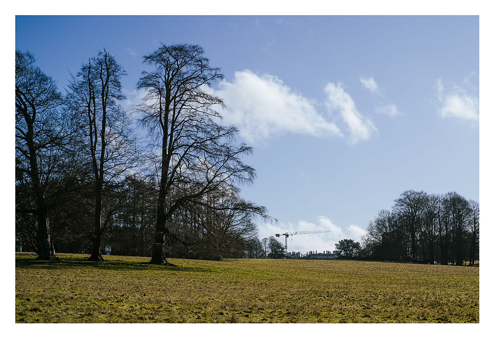 Tottenham House - currently a building site