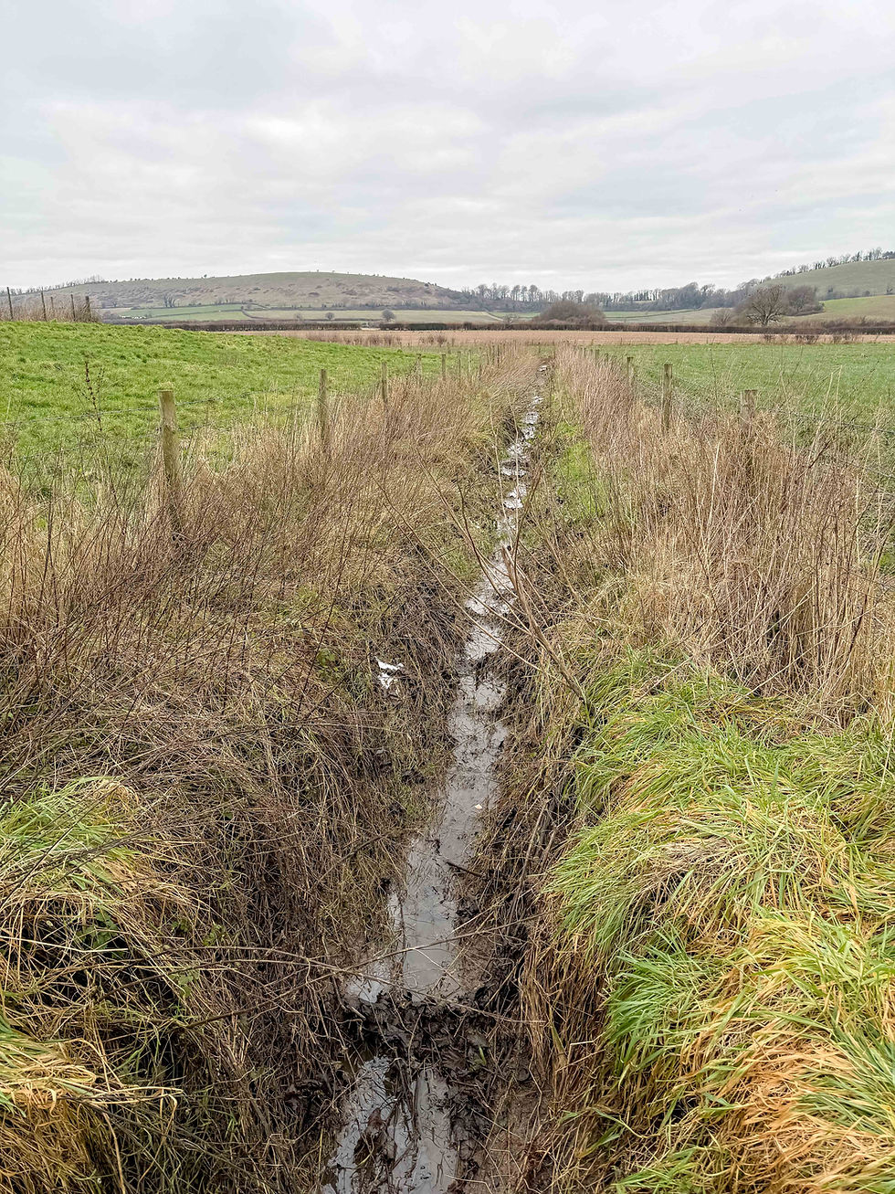 Ditch feeding River Wylye near Coombe Barn Farm. The river itself was similar.