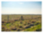 Lidbury Camp from a distance