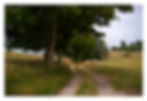 Valley Path