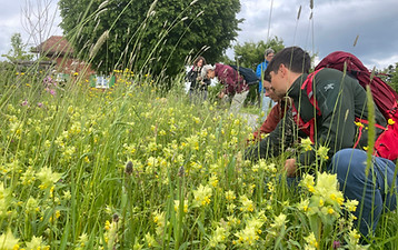 Kurs Heilmittel herstellen Andrea Nater 20250527 (12).JPG