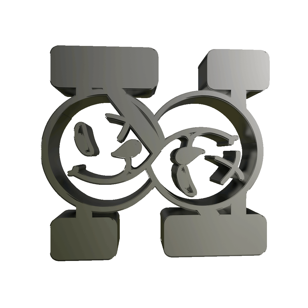 NMT-coin-2-silver-gif.gif